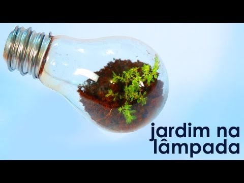 Jardim na lâmpada (como fazer um terrário em uma lâmpada)