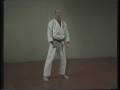 videos de Kicks: Keage, Kekomi and Mawashi Geri