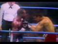 BoxingEpic Wars I (Alexis Arguello v.s Alfredo Escalera