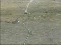 Rabbit chasing a big snake must see....