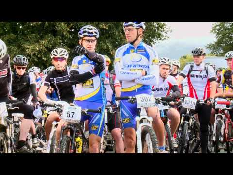chain reaction cycles