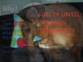 Save the Pit Bulls! Say no to SB 861! Save the Pit Bulls! Say no to SB 861!