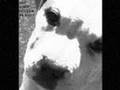Save the Pit Bulls! Say no to SB 861!