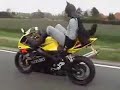 Gixxer Nation Promo Styk Renegade