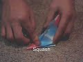 Instructional Origami Bird / Swan How to