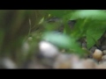 aquarium 90l fluwal