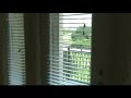 H8: Midtown Houston Tx Apartments - Very Pet Friendly