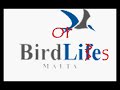 Birdlies BirdLife