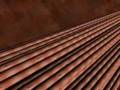 Muscle Structure and Function
