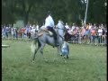 SPECTACLE EQUESTRE SPECTACLE EQUESTRE