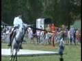 SPECTACLE EQUESTRE