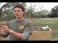 TCU - Green Roof Project TCU - Green Roof Project