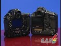Canon EOS 1Ds Mark III VS Nikon D3