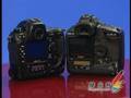 Canon EOS 1Ds Mark III VS Nikon D3