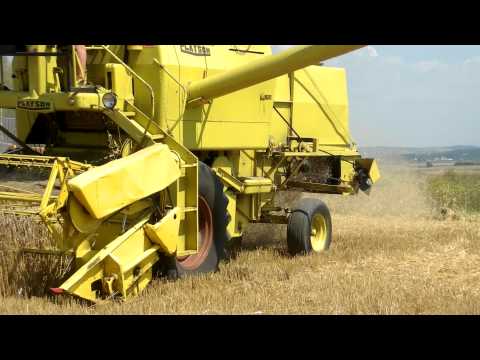 Żniwa 2012 |HD| (New Holland Clayson M135, Ursus c360-3p, T25A)