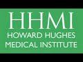 Eugenics, Depopulation & Dead Microbiologists HTS 011908 p2