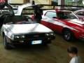 American Whells 2008 Voghera