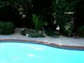 8308 Dawn Ct, Ellicott City, MD