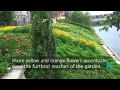 Latest Ideas in Landscape Design Latest Ideas in Landscape Design