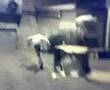 Cardboard box vs. teenager(s)