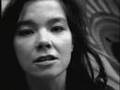 Bjork - Vessel - Travel