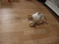 DSCF5475