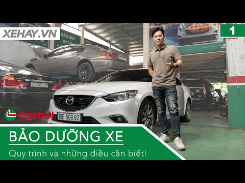 Quy trình và những điều cần biết khi BẢO DƯỠNG XE: Xe bền hay không phụ thuộc ở bạn! |XEHAY.VN|