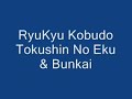 RyuKyu Kobudo Tokushin No Eku