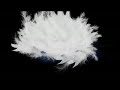 A Restful Mind Meditation Video
