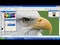 Lasso Tool In Photoshop Lasso Tool In Photoshop