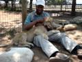 Bill P with Lion Cubs - Oct 9, 2009 JoBerg -