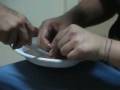 videos de SalmoneNight