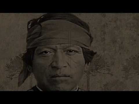 Massacre - Masacrando al Feto