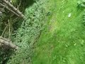 Air @ Alton Towers