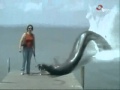 Anaconda attack