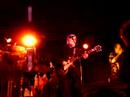 Duke Robillard live Duke Robillard live