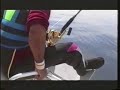 Tonni Giganti (Giant Bluefin Tuna)-Gioia Tauro, Italy -(update)