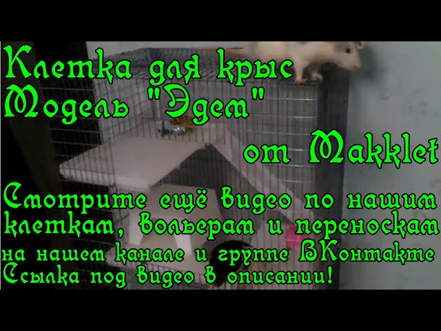 Клетка для крыс "Эдем" от Makklet