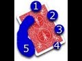 Deck Grips: Tutorial [HD]