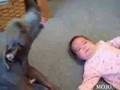 Hilarious Dog Imitating Baby