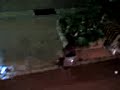 Alex M ... Bottle Freestyle 2