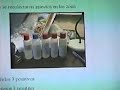 Estrategias MIP Para Hortalizas Estrategias MIP Para Hortalizas