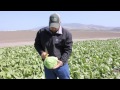 Why Did This Farmer Come Back To The Family Business?