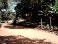 CACAU - MANGALARGA MARCHADEIRA.MPG