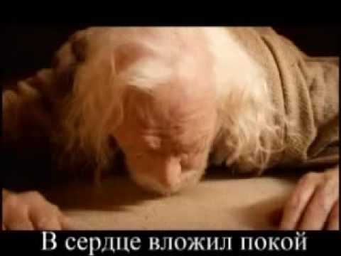 See video