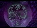 psymmetrix - chez le pharmacien