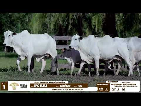 1� De Olho na Fazenda - Terra Nobre