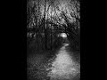 Sterbend - depressive path through fullmoon forests