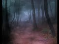 Sterbend - depressive path through fullmoon forests