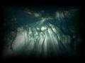 Sterbend - depressive path through fullmoon forests